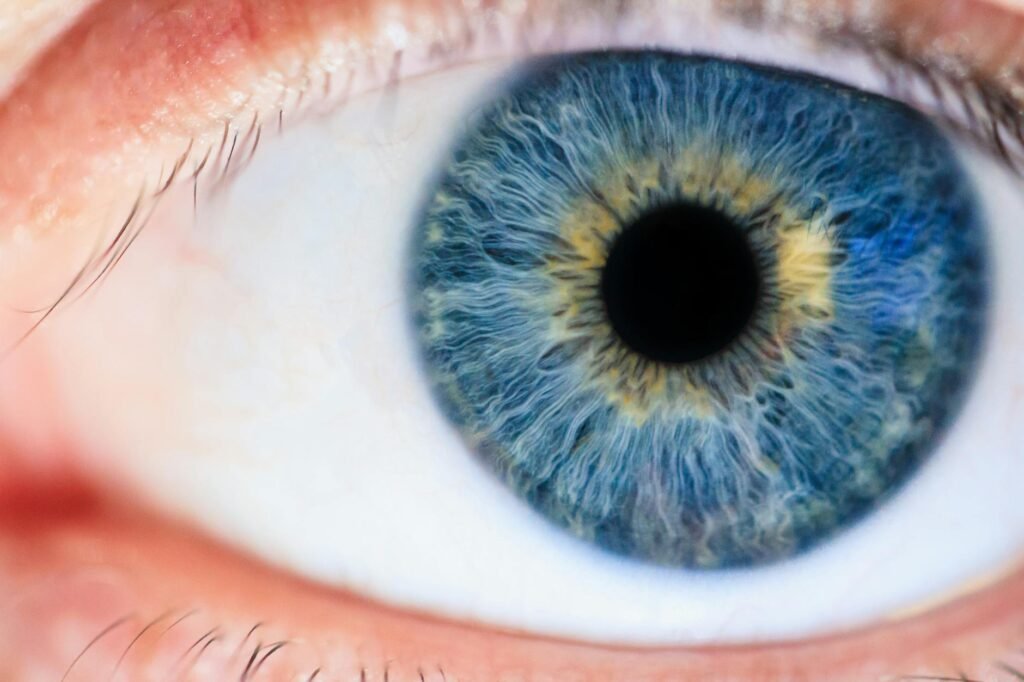 Detailed macro of a human eye showcasing the iris and pupil.