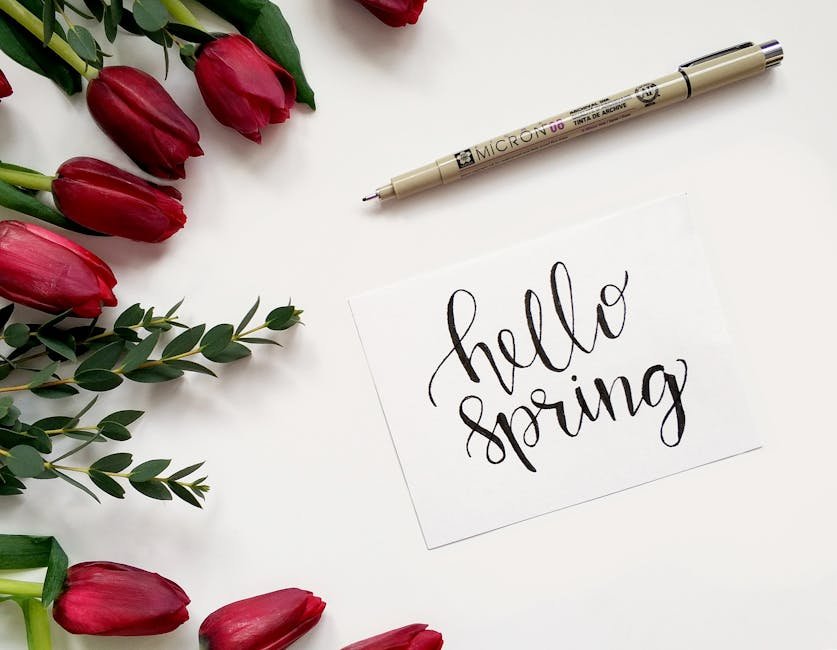 Close-up of red tulips beside a hand-lettered 'hello spring' card on white background.